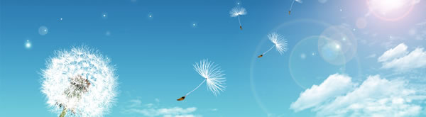 ����ͻ��-������κ�����_MG������Ϸ������������ѧУ